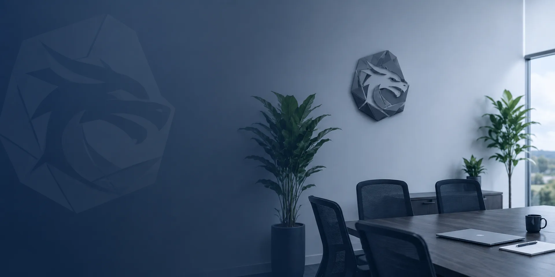 About Stone Dragon Media